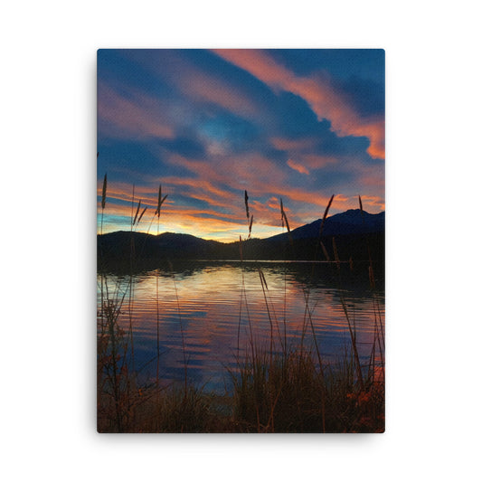 Sky Of Cotton  |  Canvas