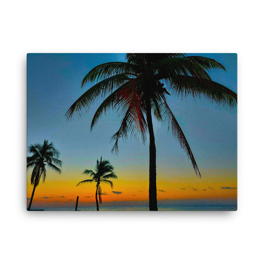 West Coast Vibes  |  Canvas